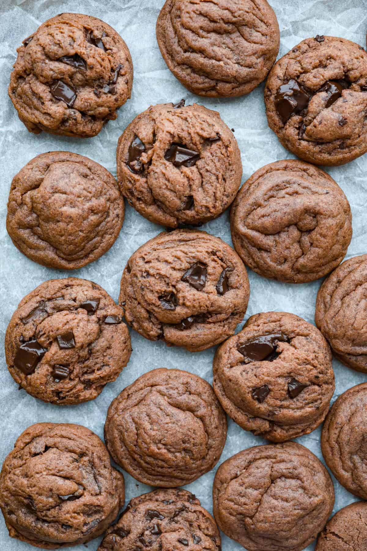 Cooked chocolate pudding cookies on parchment paper. Some with chocolate chunks, some without. 