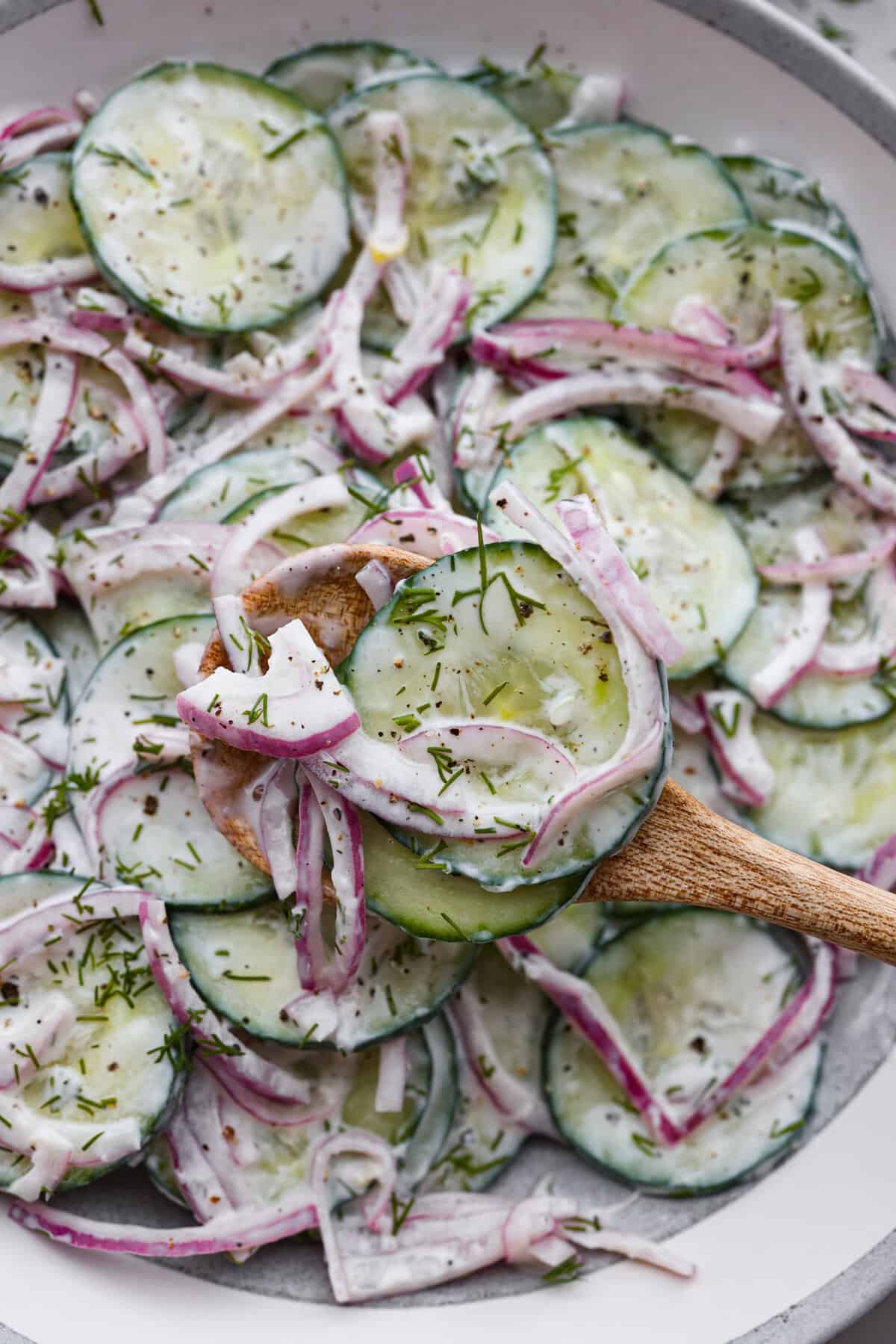 A close up of creamy cucumber salad. 