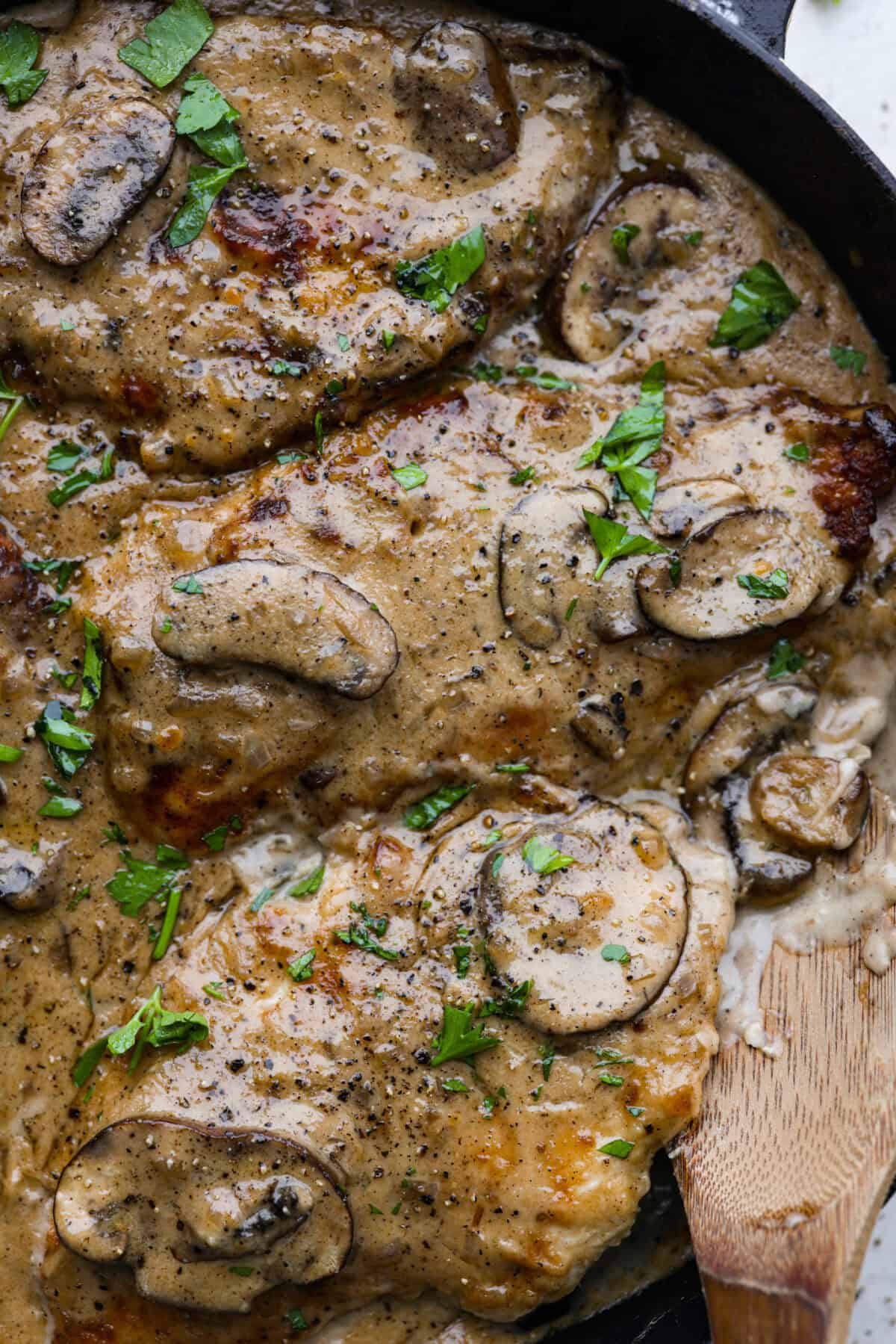 Close up shot of smothered chicken. 