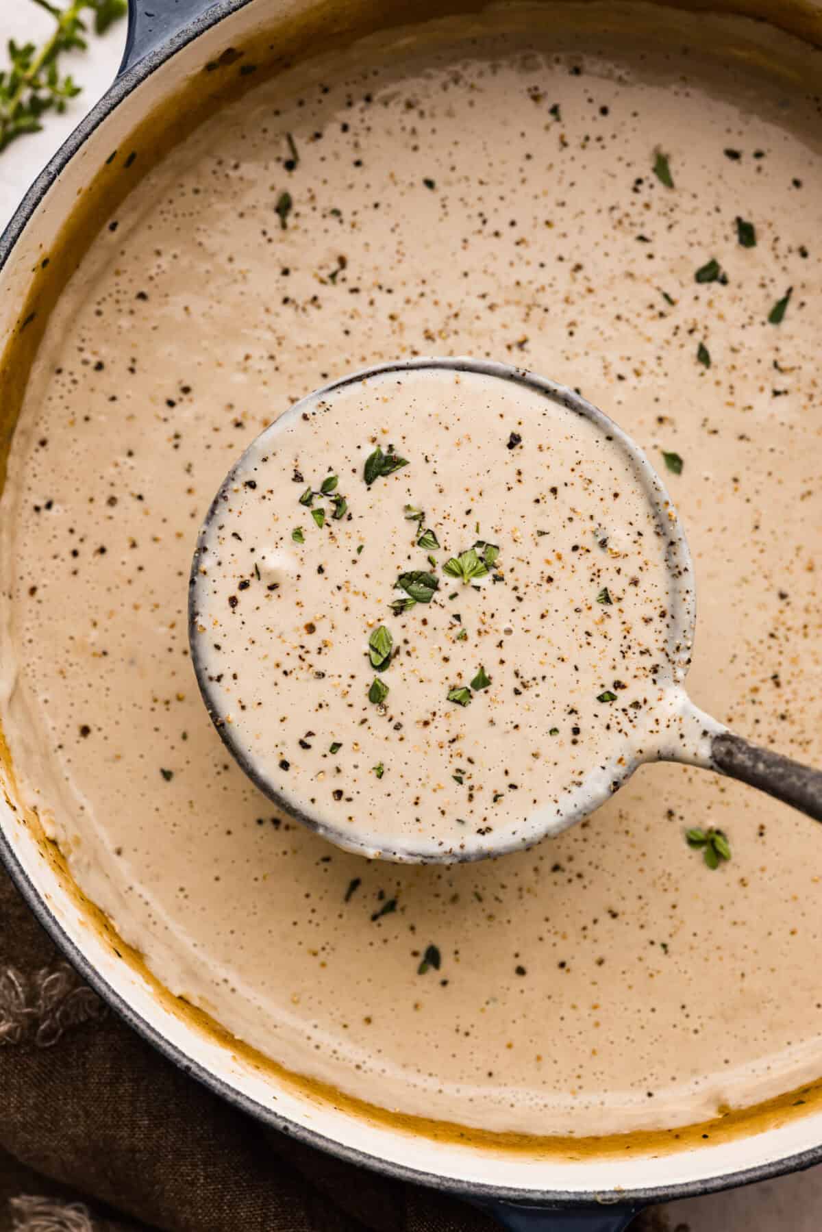 Close up shot of a ladle full of mushroom bisque.