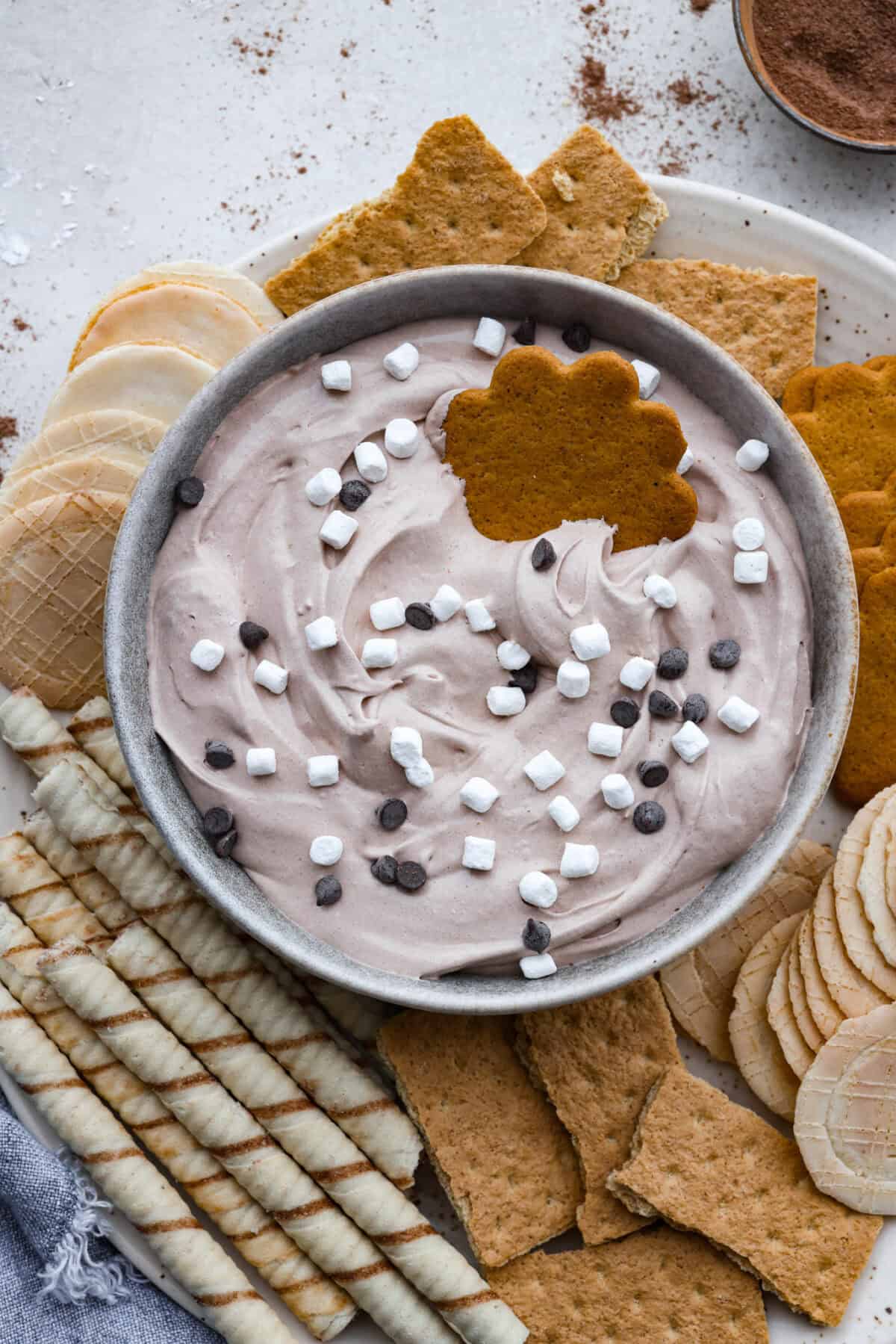 Overhead shot of hot cocoa mix on a platter with different types on cookies. 