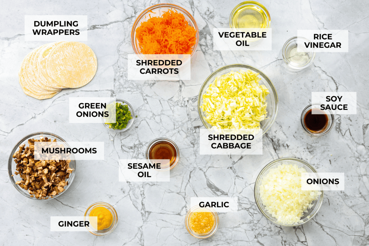 Overhead shot of labeled vegetable dumpling ingredients. 