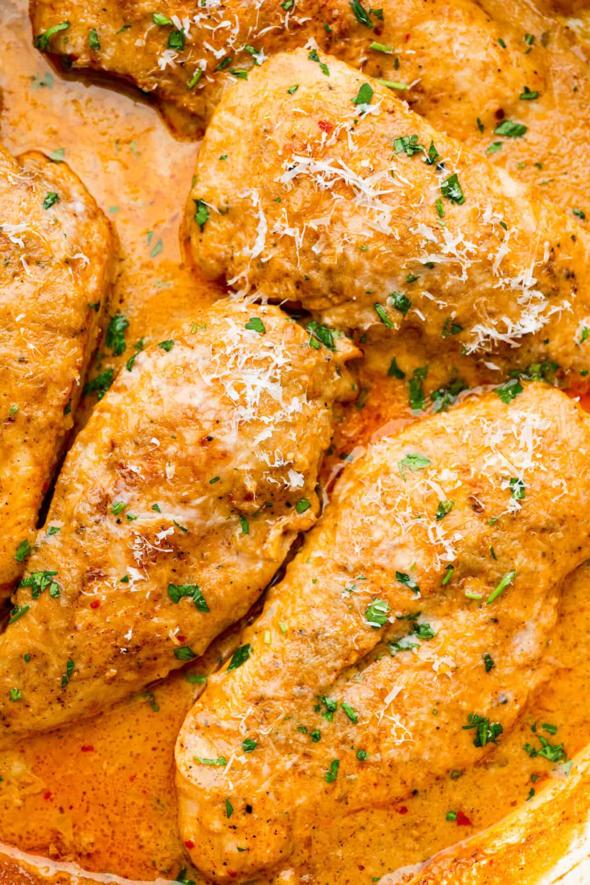 Creamy Cajun Chicken is the perfect combination of bold, zesty flavors and rich, velvety sauce. Juicy, tender chicken is coated in a perfectly spiced Cajun seasoning and simmered in a luscious, creamy sauce that’s packed with flavor. Close up shot of creamy cajun chicken.